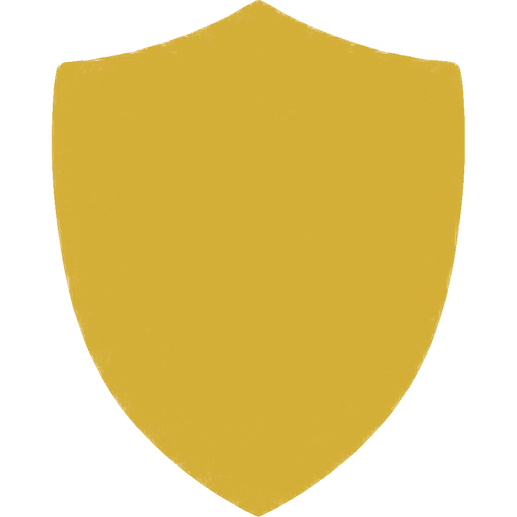 Shield Icon